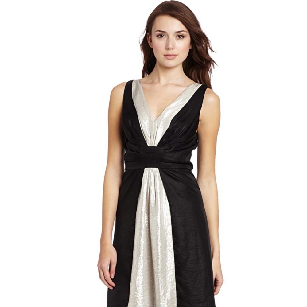 Beautiful Yoana Baraschi NWT